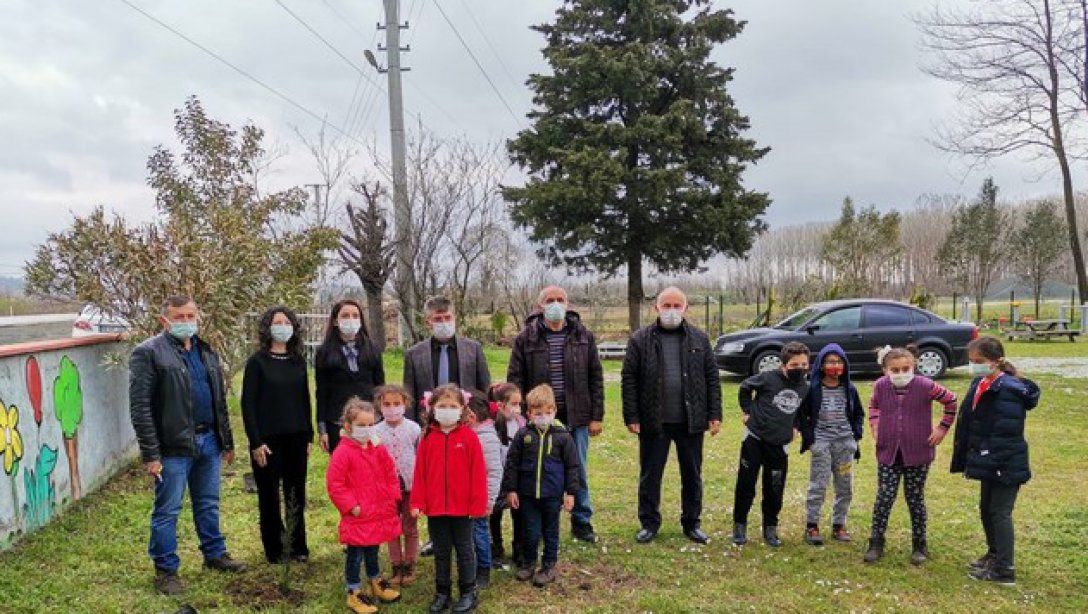 İlçemiz Kumköy İlkokulundan Orman Haftası Etkinliği